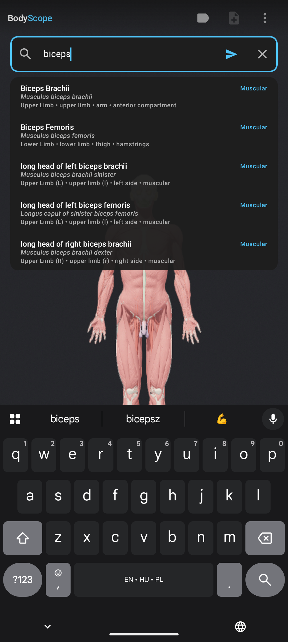 BodyScope — search for muscles with real-time results